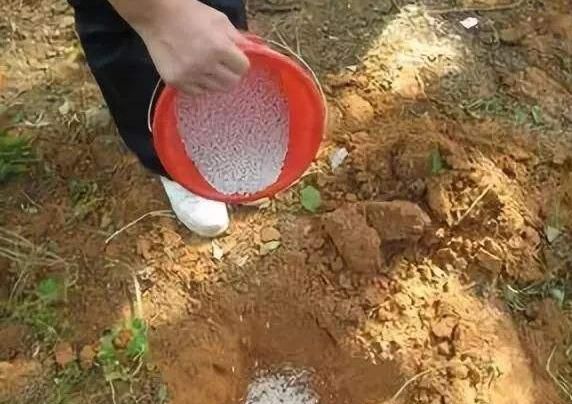 張先生維權投訴，訴稱其購買的化肥出現“板結”現象